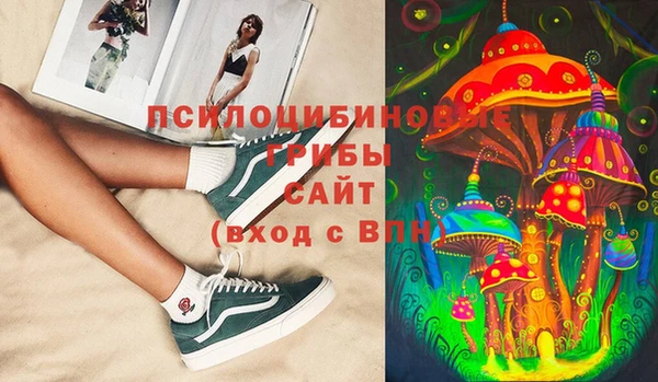 прущая мука Алзамай