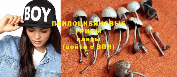 прущая мука Алзамай