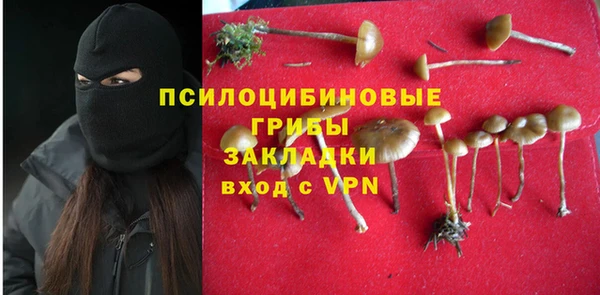 прущая мука Алзамай